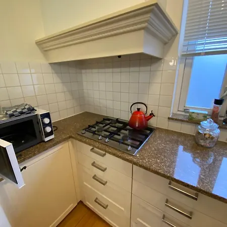 Apartment Entire Home, 3 Bedrooms Garden Strijp Within Ring *